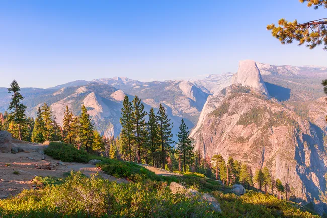 Sunlight bathes the dramatic cliffs and pine trees at Washburn Point with a stunning view of Half Dome.