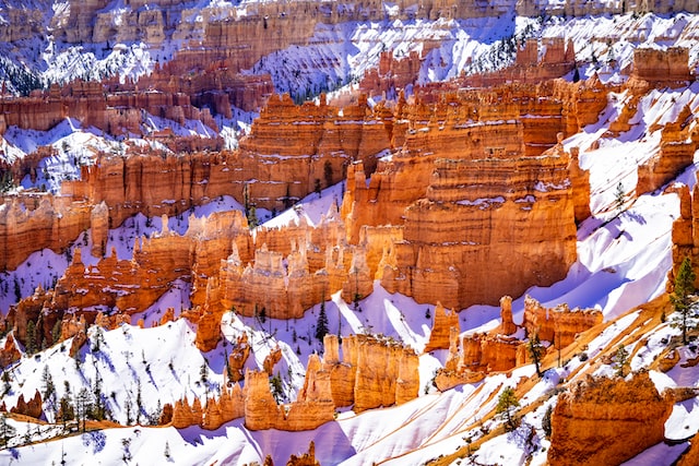 16 Best National Parks to Visit in Winter – Bearfoot Theory