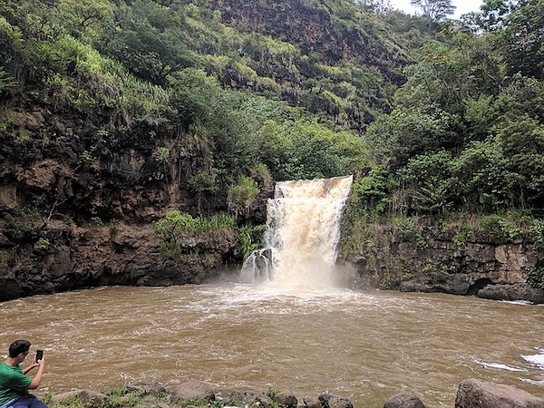 Waimea Valley Travel Oahu Shaka Guide