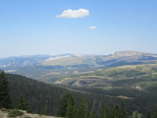Expansive view of forested hills and distant mountain plateaus from the Bighorn Mountains near the Medicine Wheel site, under a clear blue sky.