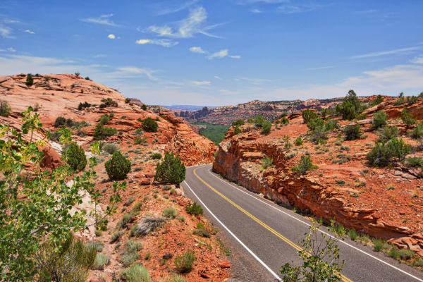 Canyonlands Road Utah National Park 