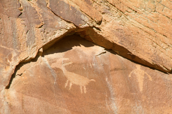 Capitol Reef Utah National Park