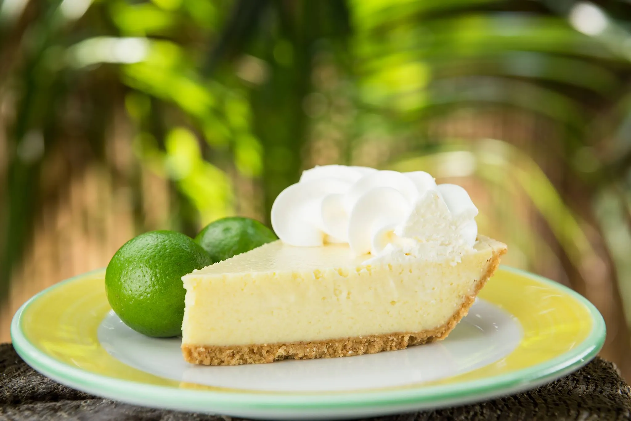 A close-up, side-angle shot of a thick slice of key lime pie on a white and yellow plate. The pie has a light yellow, creamy filling, a golden Graham cracker crust, and a large swirl of whipped cream on top. Two small, whole green key limes sit next to the slice. The background is a soft, blurred green of tropical palm leaves, creating a bright and summery atmosphere.