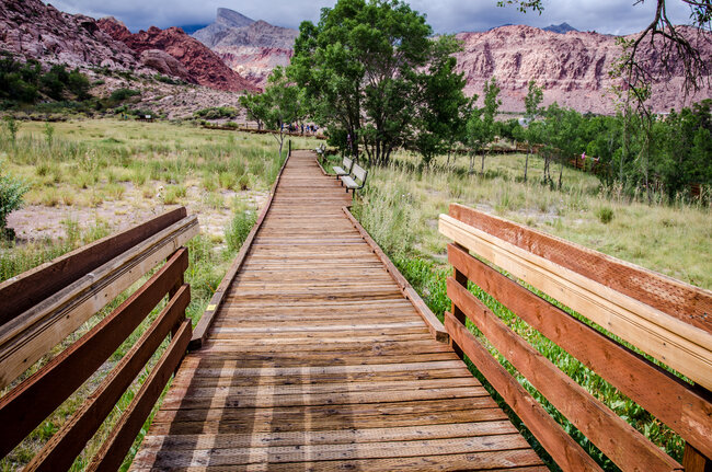 hiking trail in red rock