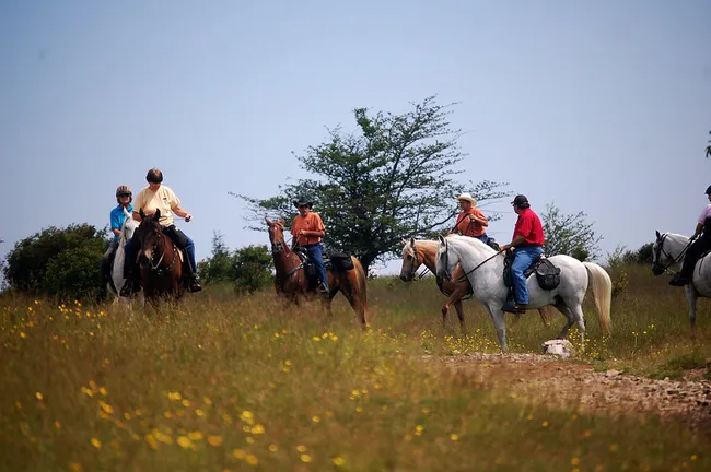 horseback riders in grasslands