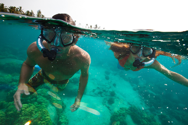 Kauai Snorkel Spots Shaka Guide