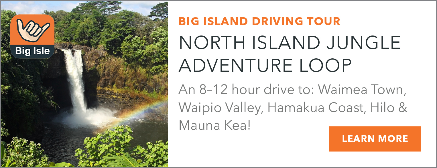 north island jungle adventure loop