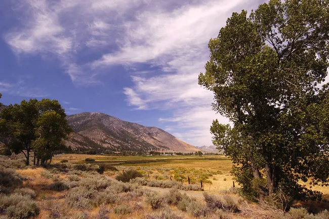 Open valley landscape with dry grass, scattered trees, and distant mountains under a partly cloudy blue sky.