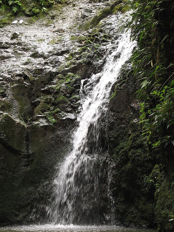 Oahu Waterfalls Travel Shaka Guide