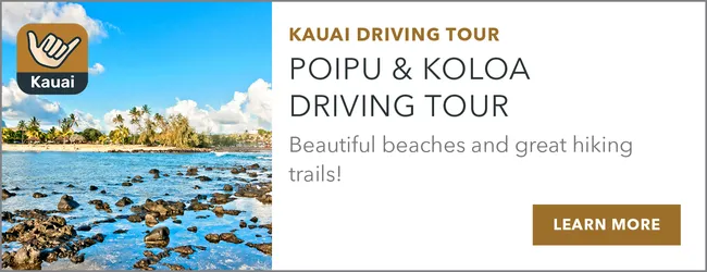 download poipu and koloa tour