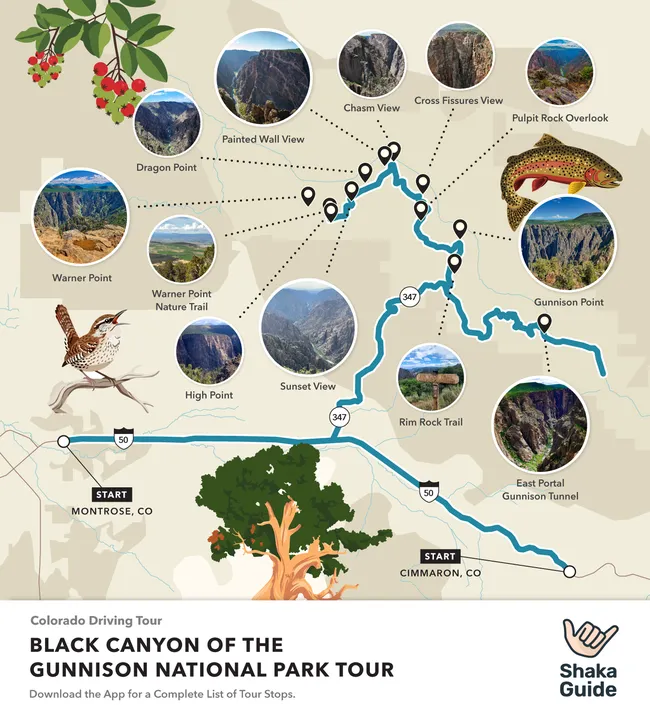 Illustrated map of Black Canyon of the Gunnison National Park Driving Tour, highlighting key stops like Painted Wall View, Dragon Point, Warner Point, Chasm View, Rim Rock Trail, Pulpit Rock Overlook, and Gunnison Point with small photo previews and nature-themed graphics.
