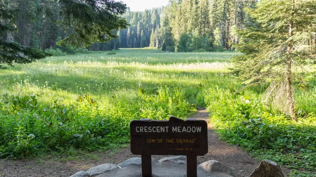 A wooden trailhead sign reading "Crescent Meadow — Gem of the Sierras — John Muir" stands at the entrance to a lush, sunlit mountain meadow in Sequoia National Park, California. The meadow stretches into the background, filled with tall green grasses and small white wildflowers, framed on all sides by towering sequoia and conifer trees. Soft dappled light filters through the canopy, illuminating the vibrant greenery on a peaceful summer day.