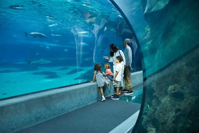 A family stands inside an aquarium tunnel watching fish swim overhead through a curved glass enclosure.