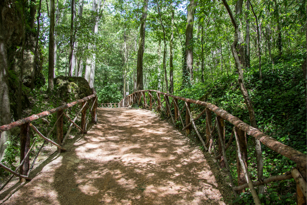 Sendero-Esperanza Trail to Wasson Peak 