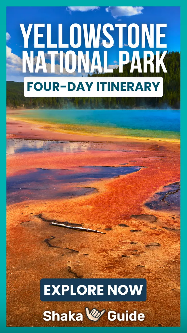A vibrant hot spring displays bands of orange, yellow, and deep blue surrounded by forest and a bright sky.