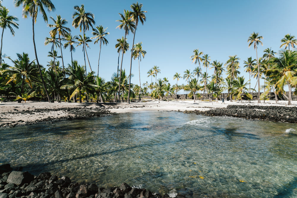 Best Beaches on the Kona Coast of Big Island Shaka Guide