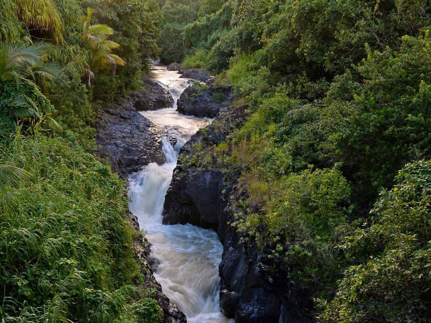 Seven Sacred Pools Kipahulu Maui Travel Shaka Guide