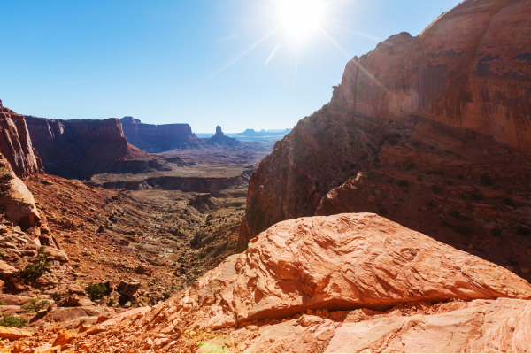 Capitol Reef Summer time Utah National Park