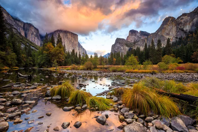 Sunset light casts a warm glow over Yosemite Valley with El Capitan and Cathedral Rocks towering in the background, reflected in the calm Merced River lined with rocks and golden grasses.