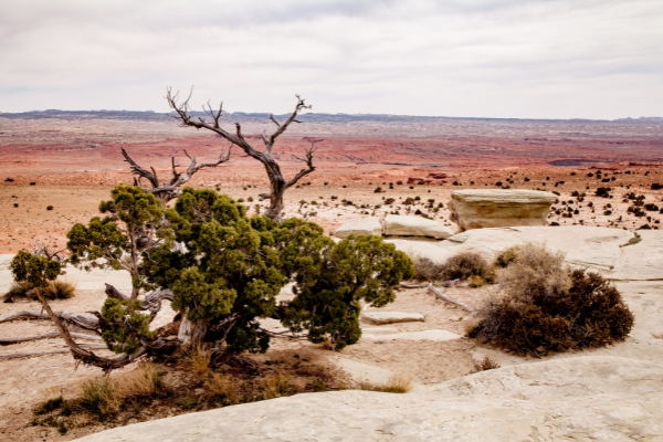 Salt Wash Utah La sAL