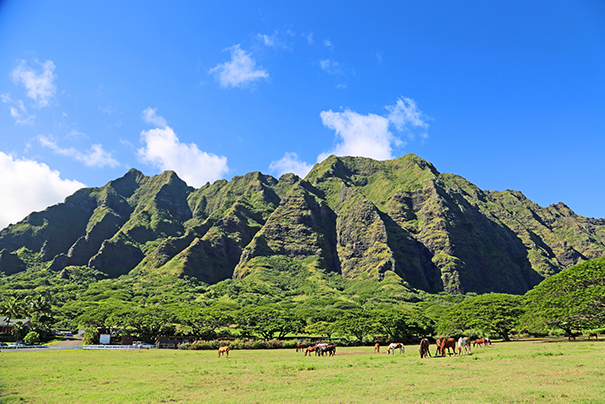 kualoa ranch oahu hawaii shaka guide grand circle island driving tour