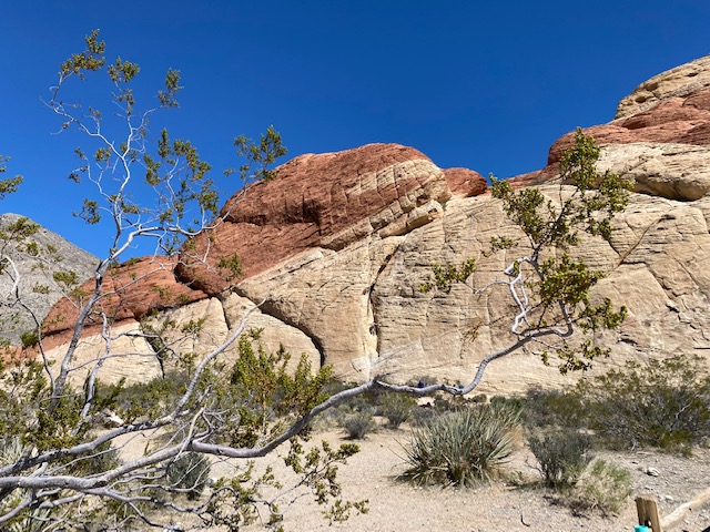 Top 7 Must-Try Trails in Red Rock Canyon