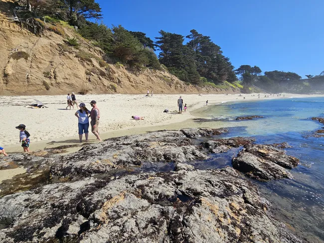 A rocky tide pool shoreline borders a sandy beach backed by steep bluffs and windswept coastal trees. Visitors stroll along the water’s edge and explore the rocks while calm ocean water reflects the clear blue sky.