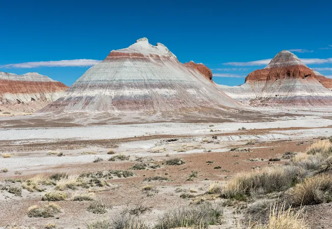 Large, conical hills with distinct horizontal stripes of red, grey, and white sit in a dry, desert landscape. The foreground is filled with sparse, low-lying shrubs and patches of dry grass under a vibrant, clear blue sky.