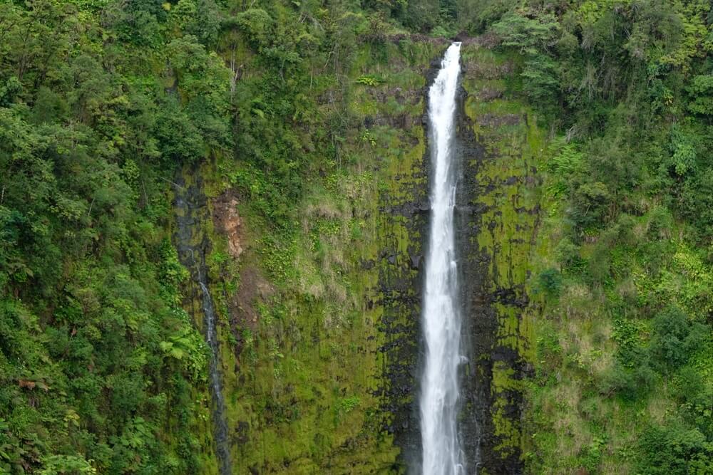 Family Activities on Big Island Shaka Guide