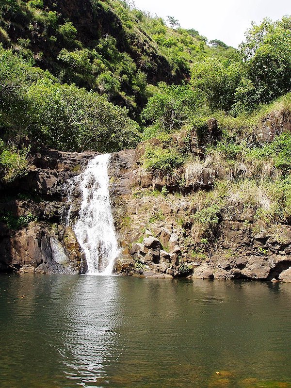 Oahu Waterfalls Travel Shaka Guide