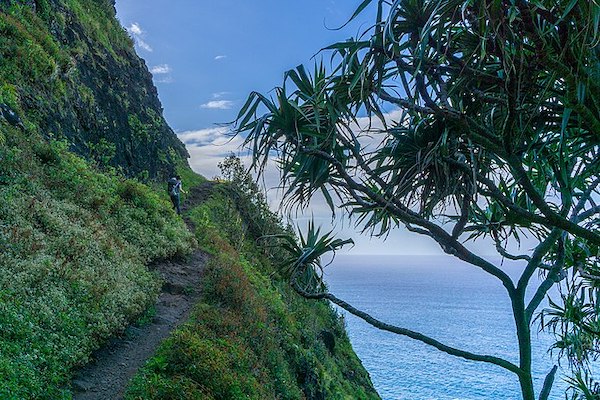 Kalalau Trail Travel Shaka Guide