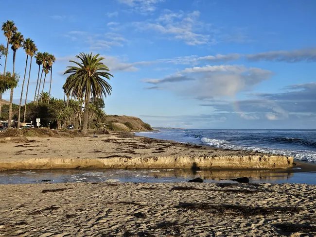 A wide-angle view of a sandy beach bordered by several tall, thin palm trees on the left. A small stream of water flows across the sand into a calm blue ocean, reflecting the sky. In the background, a low grassy bluff stretches along the coastline under a blue sky with scattered white clouds and the faint hint of a rainbow.