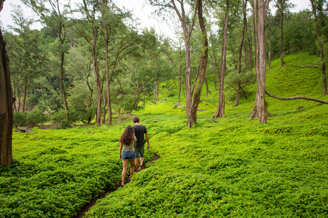 Polulu Valley Hike Big Island Shaka Guide 