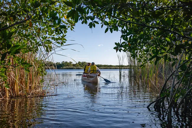 Two people wearing yellow life vests paddle a canoe through a mangrove tunnel in Everglades National Park.
