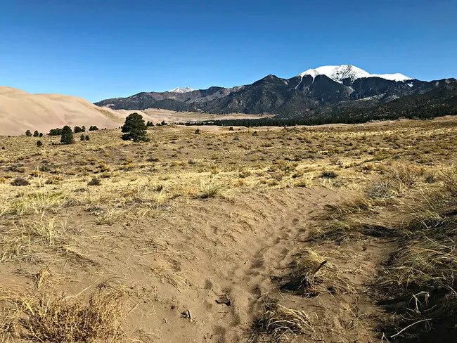 Sandy trail leads through dry grasslands toward towering sand dunes and snow-capped mountains in Great Sand Dunes National Park under a clear blue sky.