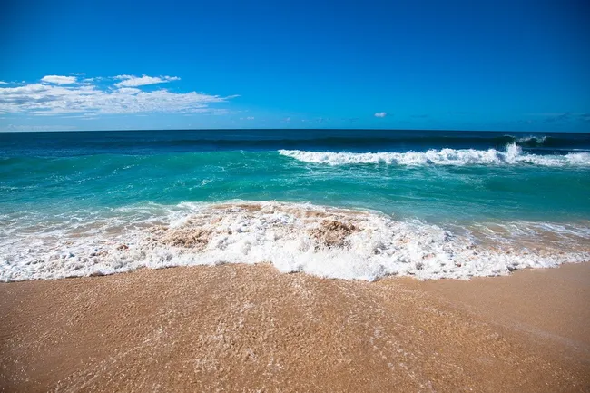Waves gently crash onto the golden sandy shore under a clear blue sky at a Hawaiian beach.