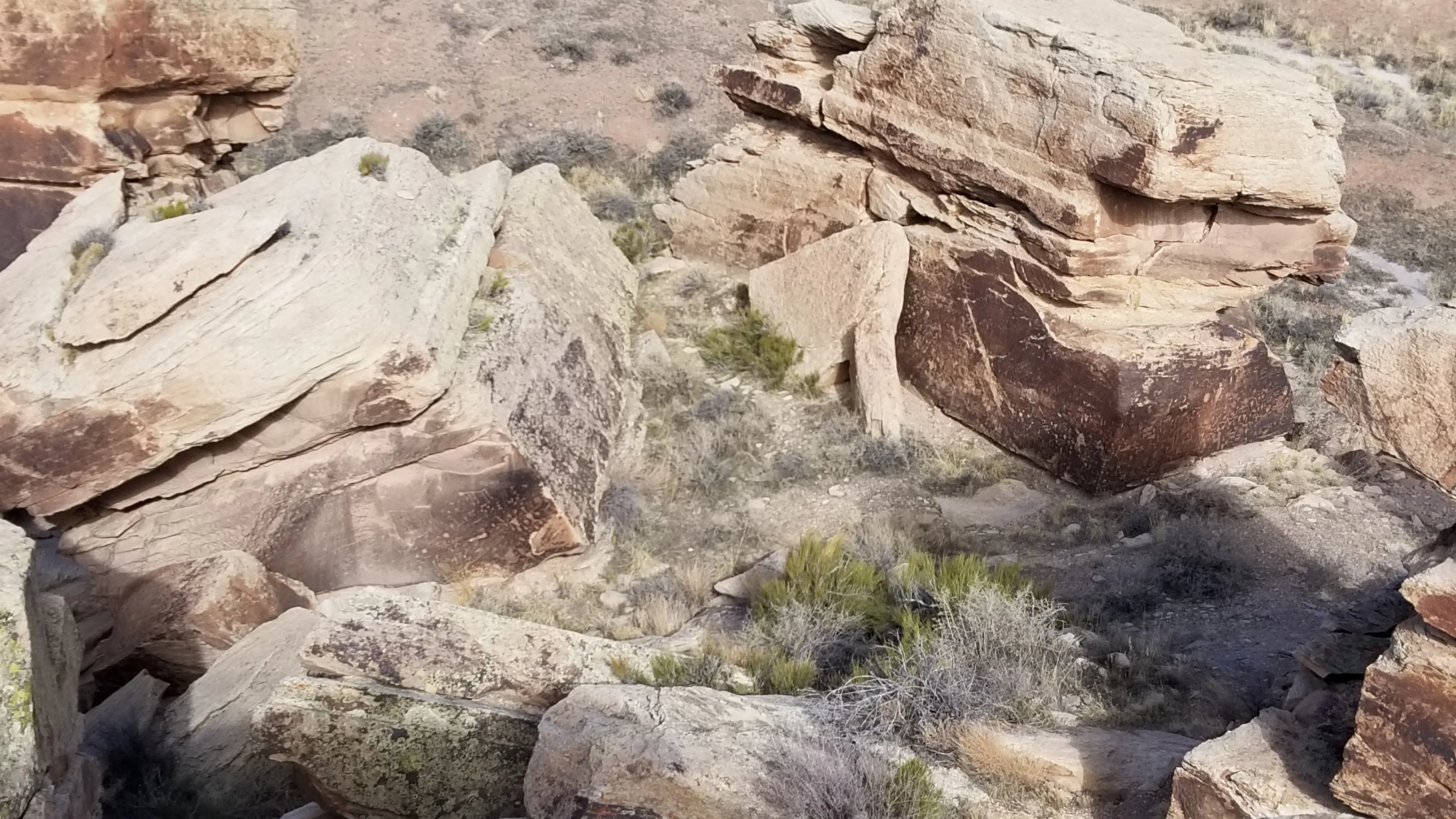 A wide, high-angle view of several large, jagged desert rock formations. The rocks are light tan on top, with dark, sun-blackened "desert varnish" on their flat vertical faces. These dark surfaces are covered in hundreds of small, intricate petroglyphs (ancient rock carvings). Scrubby green bushes and dry desert grass grow in the sandy gaps between the boulders under bright, natural light.