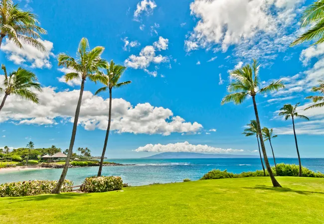 Palm trees sway over a manicured green lawn with ocean views at Kāʻanapali Beach in Maui.