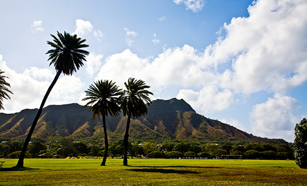 Drive and Sightsee Around Oahu Shaka Guide 