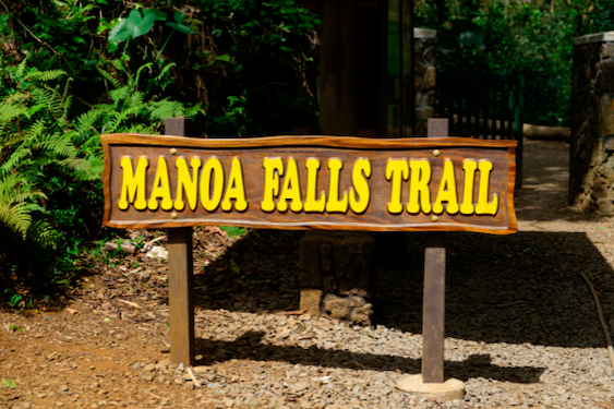 manoa falls trail signboard