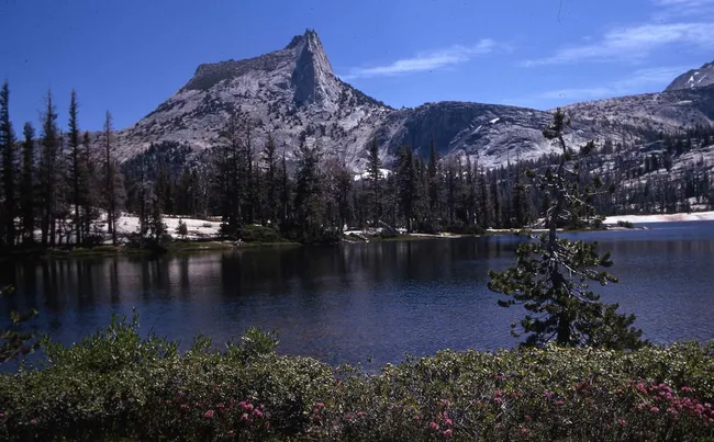 A scenic view of a calm, dark lake reflecting a tall, jagged granite peak that rises sharply against a clear blue sky. The shoreline is lined with dark evergreen trees and low green shrubs with small pink flowers in the foreground.