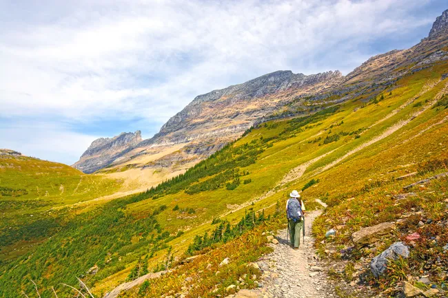 Solo hiker walking along Highline Trail in Glacier National Park with vast mountain scenery and clear skies.