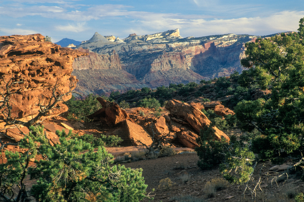 Capitol Reef Fall Utah National Park