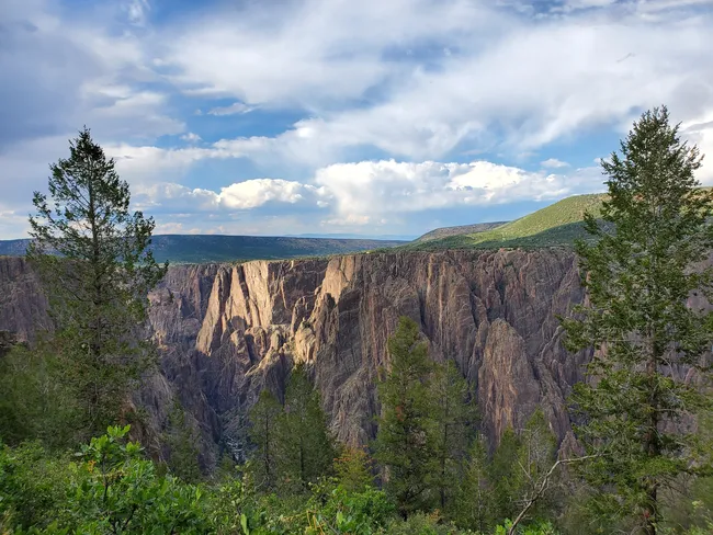 Sunlight illuminates the dramatic cliffs of Black Canyon of the Gunnison, framed by tall pine trees and set against a backdrop of rolling hills and a cloudy blue sky.