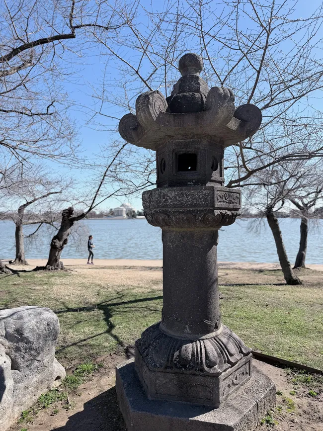 A weathered traditional Japanese stone lantern standing on an ornate carved base along the edge of the Tidal Basin in Washington, D.C. The lantern features intricate relief carvings and a tiered pagoda-style top. Bare cherry blossom trees frame the scene, indicating early spring before peak bloom. Across the calm water, the Jefferson Memorial is faintly visible in the background. A lone visitor walks along the sandy bank, and a second stone fragment is visible to the lower left.
