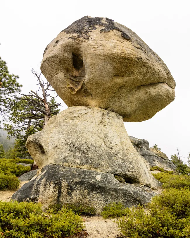 Large balancing boulder perched on a narrow rock base surrounded by shrubs and pine trees at D.L. Bliss State Park.
