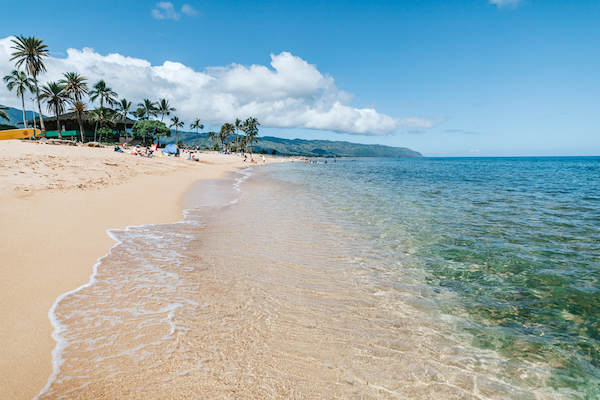 Haleiwa Travel Guide Your Guide To Exploring Haleiwa