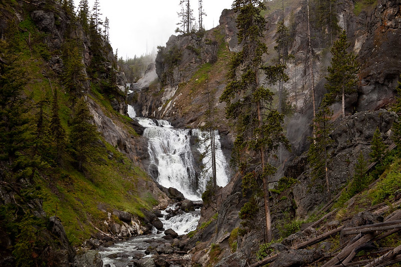 falls in Yellowstone national park with trees beside