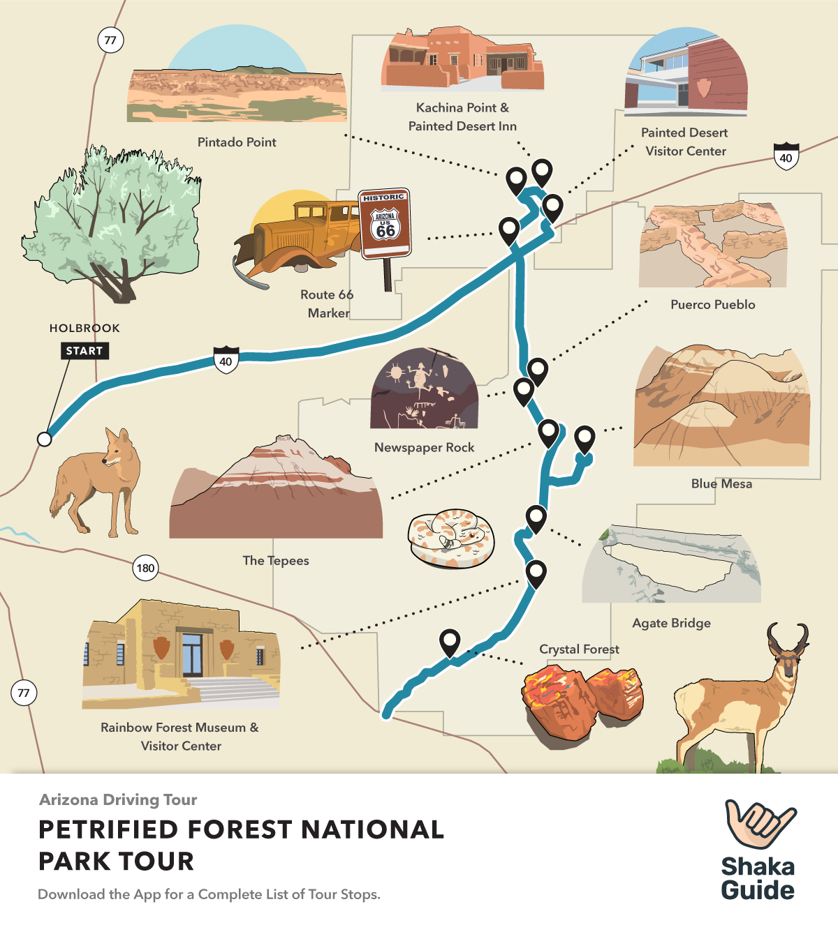 Petrified Forest National Park Map Travel Guide