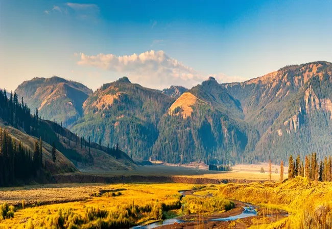 A wide-angle landscape view of a broad, golden-grass valley with a small, winding river snaking through the center. In the background, large, rolling mountains covered in patches of dark green forest and tan slopes sit under a clear blue sky with a few wispy white clouds.